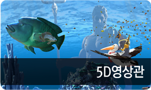 5D영상관